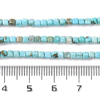 Natural Howlite Beads Strands G-G001-A02-03-1