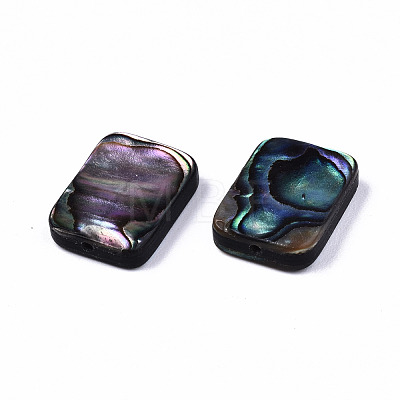 Natural Abalone Shell/Paua Shell Beads SSHEL-T014-11A-1