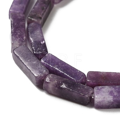 Natural Lepidolite/Purple Mica Stone Beads Strands G-E612-C05-A-1