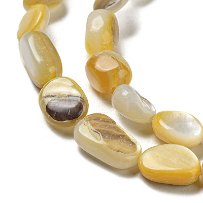 Natural Yellow Shell Beads Strands SSHEL-H072-08-1