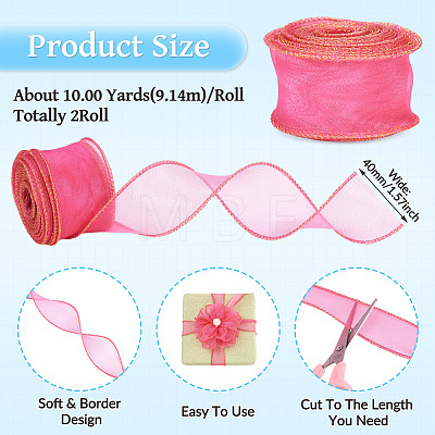 2 Rolls Polyester Mesh Ribbons SRIB-TA0003-42B-1
