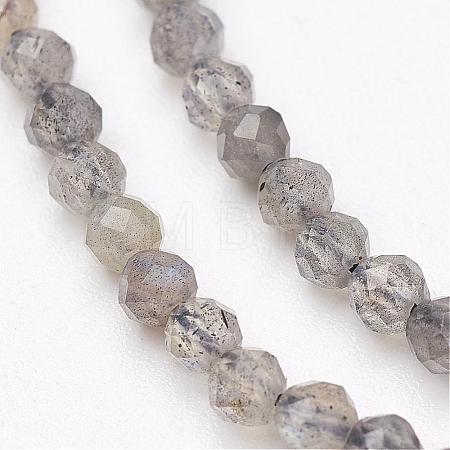 Natural Labradorite Bead Strands G-P213-38-3mm-1
