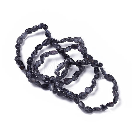 Natural Iolite/Cordierite/Dichroite Bead Stretch Bracelets BJEW-K213-41-1