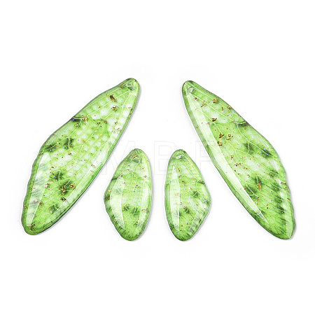 Transparent Resin Wing Earrings Pendants LS-FIND-TAC0006-58E-1