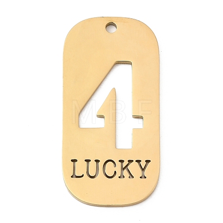 304 Stainless Steel Pendants STAS-D200-02E-G-1