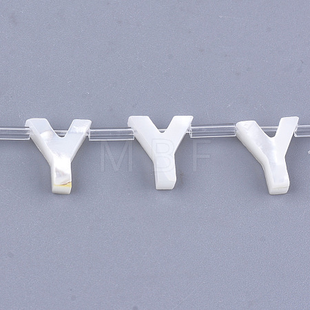 Natural Sea Shell Beads SHEL-T012-60Y-1