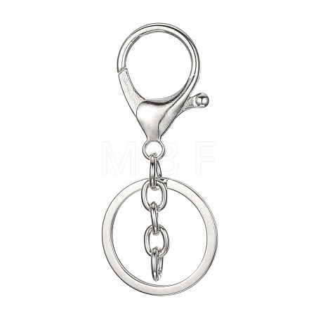 Alloy Key Clasps KEYC-D059-1