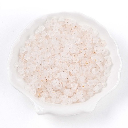 Frosted Transparent Acrylic Beads X-OACR-N137-72A-1