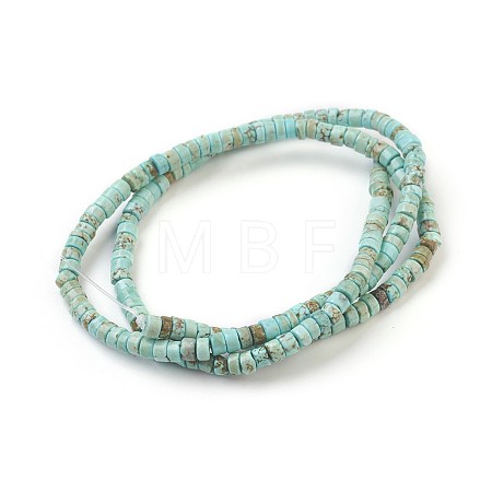 Natural Magnesite Beads Strands G-P398-B01-1