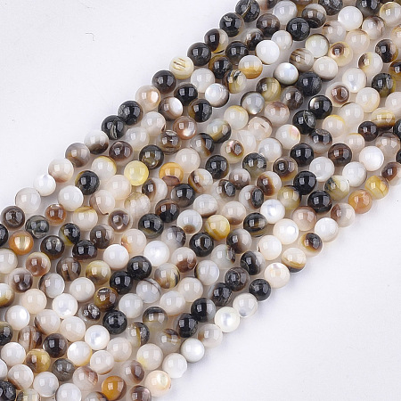 Black Lip Shell Beads Strands SHEL-S274-92B-1
