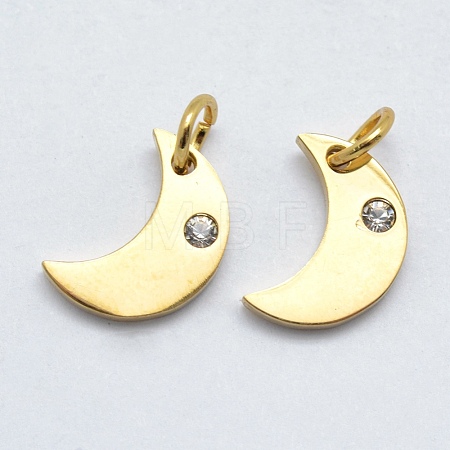 316 Surgical Stainless Steel Pendants STAS-J038-10G-1
