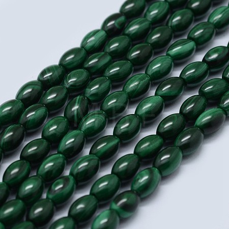 Natural Malachite Beads Strands G-F571-21-B-1