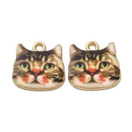 Alloy Enamel Pendants ENAM-V002-04G-04-1