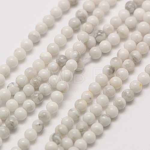 Natural Howlite Round Bead Strands X-G-A130-3mm-L02-1