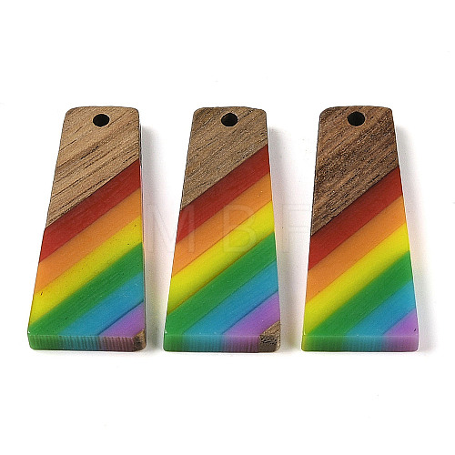 Pride Rainbow Theme Resin & Walnut Wood Pendants WOOD-K012-10B-1