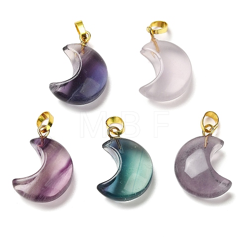 Natural Fluorite Pendants G-C155-03G-1