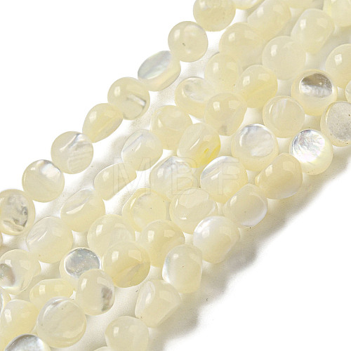 Natural White Shelll Beads Strands SSHEL-H072-03-1