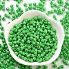 Baking Paint Glass Seed Beads SEED-A032-02B-2
