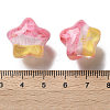 Gradient Color Transparent Hand-drawed Acrylic Beads TACR-P012-01B-07-3