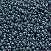 TOHO 6/0 Round Beads X-SEED-TR06-1206-4