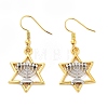 Alloy Dangle Earrings EJEW-Q802-04-1