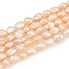 Natural Cultured Freshwater Pearl Beads Strands PEAR-P064-20G-03D-2