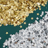 100G 2 Colors PET Paillette/Sequins Pendants KY-CY0001-02-7