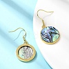 Brass Natural Paua Shell Dangle Earrings EJEW-M060-19E-G-3