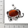 Natural Carnelian Pendants G-G112-01P-01-3