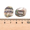 Natural Paua Shell Pendants SHEL-T020-11A-3