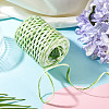 Raffia Twine Yarn OCOR-TAC0025-009D-7