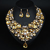 Teardrop Alloy Rhinestone Pendant Necklaces & Stud Earrings Sets for Women WG498A8-07-1