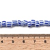 Handmade Lampwork Beads Strands BLOW-K001-01A-10-8