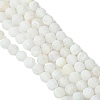 Natural Weathered Agate Beads Strands X-G-G589-8mm-03-4
