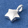 925 Sterling Silver Charms STER-G043-05A-S-2