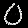 Natural Trochid Shell/Trochus Shell Beads Strands SH-CBA2978-19B-3