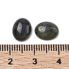 Natural Labradorite Cabochons G-F815-01A-3