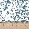 MIYUKI Round Rocailles Beads X-SEED-G009-RR2256-4