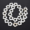 Freshwater Shell Beads Frames Strands SHEL-T009-14A-3