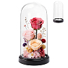 Acrylic Dome Cover DIY-WH0899-949A-1