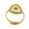 Brass Adjustable Rings for Women RJEW-G265-10G-4