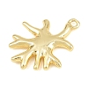 Brass Pendants PL-CBAB488-05G-2