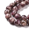 Natural Lepidolite/Purple Mica Stone Beads Strands G-G925-02A-4