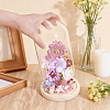 Arch Glass Dome Cover AJEW-WH0596-866D-02-3