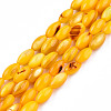 Natural Freshwater Shell Beads Strands SHEL-N026-212-B05-1