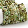 Natural Serpentine Beads Strands G-B107-A05-06-2