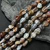 Natural Botswana Agate Nuggets Beads Strands G-L154-03-1