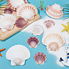 2 Styles Natural Shell SSHEL-WR0001-06A-4