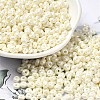 Baking Paint Luster Glass Seed Beads X1-SEED-B001-04A-11-1