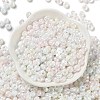 Glass Seed Beads SEED-L011-03A-15-2